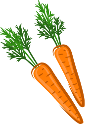 carrot